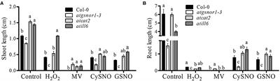 The Role of Nitric Oxide-Induced ATILL6 in Growth and Disease Resistance in Arabidopsis thaliana